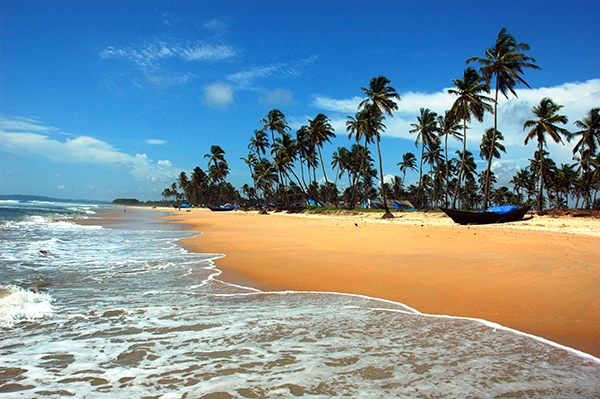 Tropical Goa beach with palm trees and boat on sandy shore under blue sky.